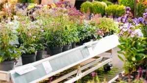 Different Types of Garden Centers