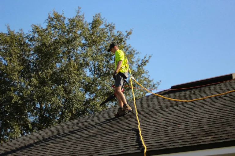 Professional Roofing
