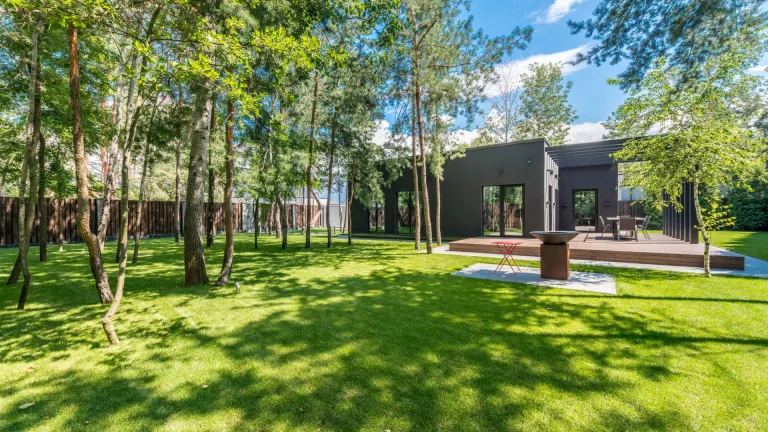 Solving Common Yard Problems with Creative Landscaping Ideas